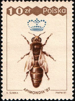 (1987-032) Марка Польша &quot;Медоносная пчела, Королева&quot;    31-й Всемирный конгресс пчеловодства, Варшав