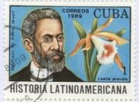 (1989-063) Марка Куба "Мачадо Ассис"    История Латинской Америки III Θ