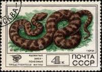 1977-100 Марка СССР Гюрза  Фауна III Θ