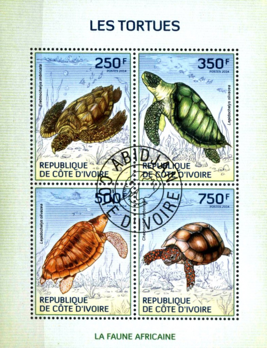 (№2014-1524) Лист марок Кот-д’Ивуар 2014 год &quot;Черепашки&quot;, Гашеный
