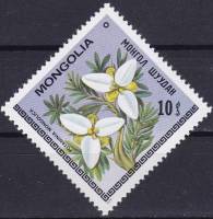 (1979-017) Марка Монголия "Потаниния монгольская"    Цветы III Θ
