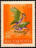(1959-027) Марка Венгрия "Рыжая цапля"    Водоплавающие птицы II Θ