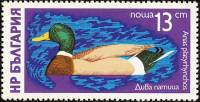 (1976-020) Марка Болгария "Кряква"   Водоплавающие птицы II Θ