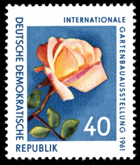 (1961-050) Марка Германия (ГДР) &quot;Роза&quot;    Выставка цветов III Θ