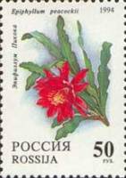 (1994-005) Марка Россия "Эпифиллум Пикока"   Комнатные растения. Кактусы III Θ