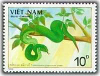 (1989-042a) Марка Вьетнам "Папская гадюка"  Без перфорации  Ядовитые змеи III Θ