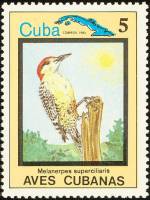 (1983-091) Марка Куба "Красноголовый дятел"    Птицы III Θ
