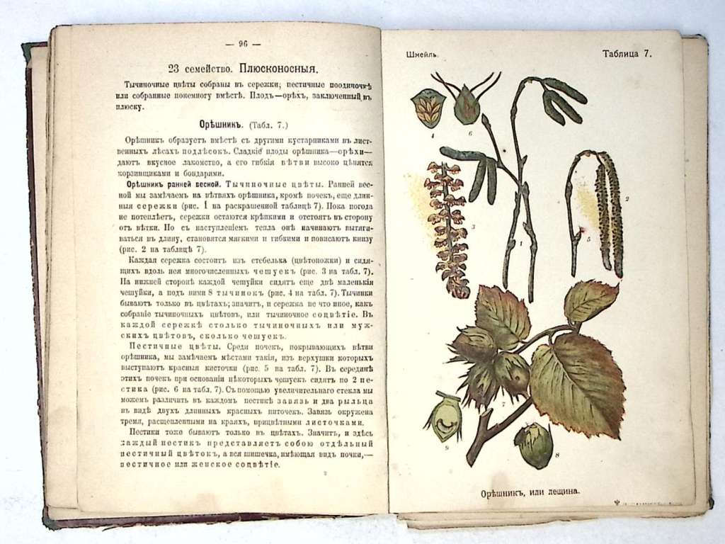 Книга Человек, животные и растения 1912 О. Шмейль Москва Твёрдая обл. 215 с. С цв илл