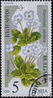(1989-010) Марка Болгария "Рамонда сербская"   Исчезающие растения III Θ