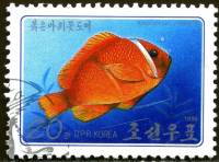 (1986-016) Марка Северная Корея "Томатный клоун"   Рыбы III O