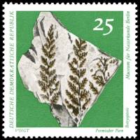 (1973-011) Марка Германия (ГДР) "Папоротник Ботриоптерис"    Музей истории III Θ