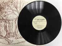 Пластинка виниловая , О, время, погоди... Мелодия 300 мм. (Сост. отл.)