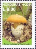 (№2014-1991) Марка Гондурас 2014 год "Мухомор кесарии", Гашеная