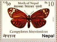 (№2014-1155) Марка Непал 2014 год "Campylotes histrionicus", Гашеная