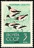 1962-139 Марка СССР Розовые скворцы   Птицы II O