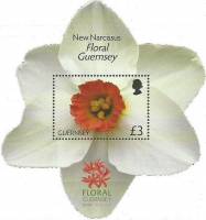(№2012-61) Блок марок Гернси 2012 год "Новый Нарцисс lsquoFloral различные Guernseyrsquo", Гашеный