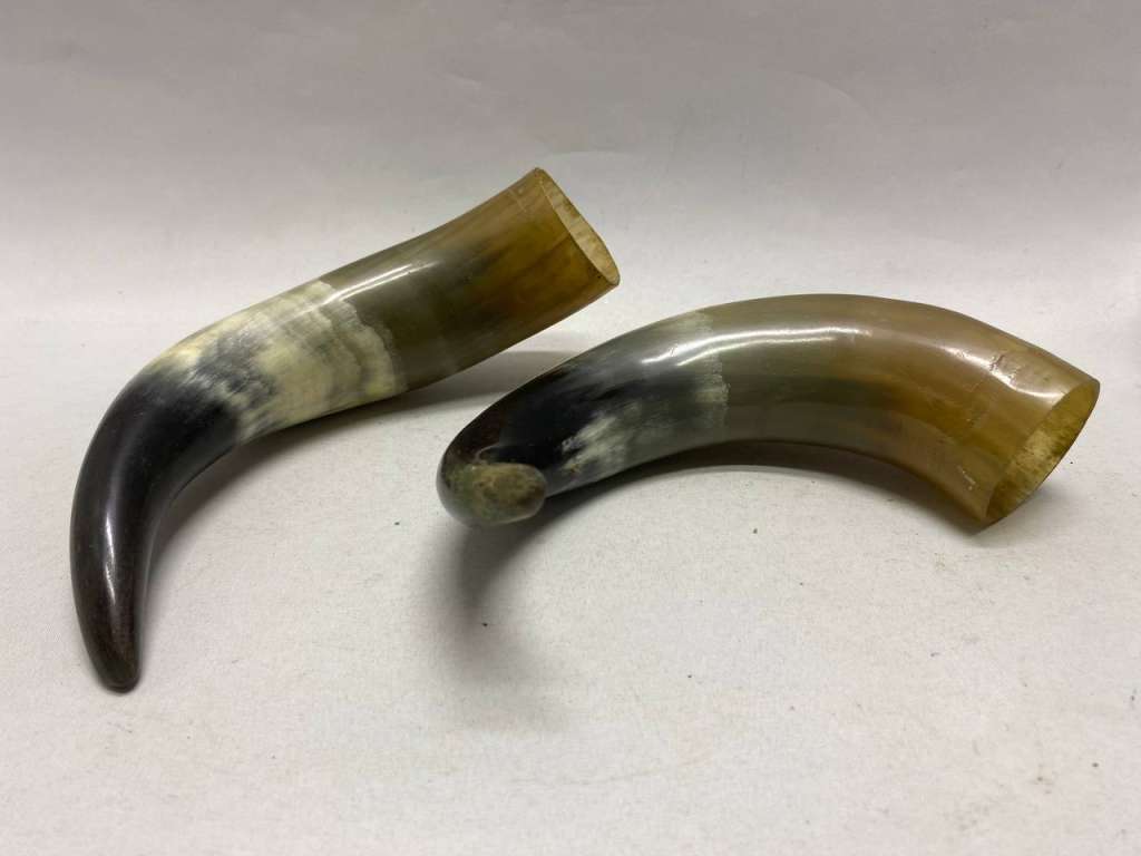 Рог сувенирный натуральный 2 шт