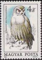 (1984-072) Марка Венгрия "Белая сова"    Защита птиц. Совы II Θ
