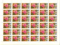 1978-032  Лист (36 м 6х6) СССР Роза Утро Москвы  Цветы Москвы III O