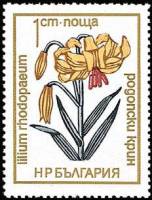 (1972-063) Марка Болгария "Лилия тюркская шапка"   Цветы под охраной III O
