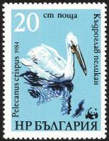 (1984-074) Марка Болгария "Пеликан (3)"   Всемирная охрана природы II Θ