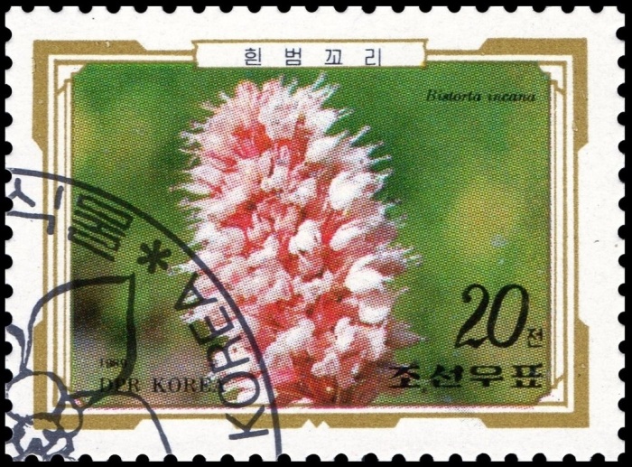 (1989-072) Марка Северная Корея "Горец живородящий"   Альпийские цветы III &Theta;