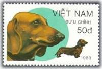 (1989-086) Марка Вьетнам "Такса "    Собаки III Θ
