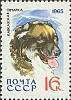 1965-018 Марка СССР Кавказская овчарка   Служебные и охотничьи собаки III O