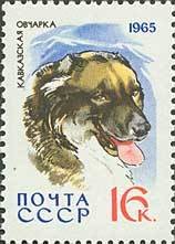 1965-018 Марка СССР Кавказская овчарка   Служебные и охотничьи собаки III O