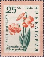 (1960-028) Марка Болгария "Лилия Янки"   Охрана природы. Цветы III Θ
