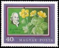 (1971-050) Марка Венгрия "Вальдштейния"    200-летие Ботанического сада Университета Будапешта II Θ