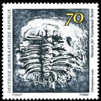 (1973-013) Марка Германия (ГДР) "Трилобит"    Музей истории III Θ