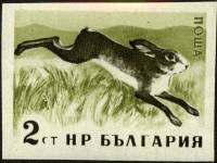 (1958-011a) Марка Болгария "Заяц-русак" Без перфорации   Дикие животные Болгарии II Θ