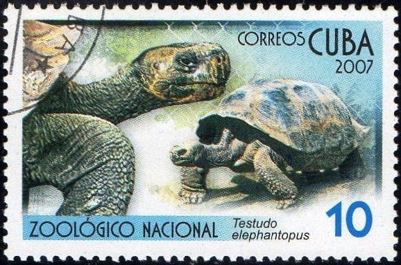 (№4907) Марка Куба 2007 год &quot;Гигантские черепахи testudo elephantopus галапагос&quot;, Гашеная