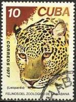 (1977-072) Марка Куба "Леопард"    Зоопарк в Гаване III Θ