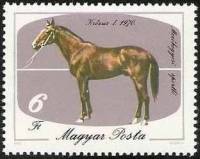 (1985-039) Марка Венгрия "Крез-1, 1970"    Лошади II Θ