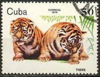 (1979-085) Марка Куба "Тигр"    Животные зоопарка III Θ