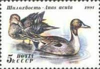 (1991-055) Марка СССР "Шилохвость"   Утки III O
