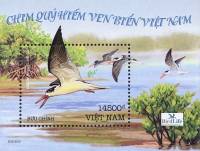 (№2010-154) Блок марок Вьетнам 2010 год "Индийский Скиммер Rynchops albicollis", Гашеный