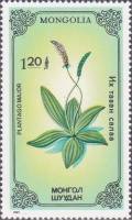 (1985-037) Марка Монголия "Подорожник"    Растения III Θ