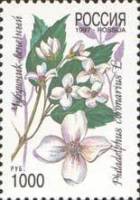 1997-005 Марка Россия Чубушник  Флора. Декоративные кустарники России III O