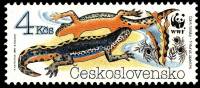 (1989-029) Марка Чехословакия "Альпийский тритон"    Охрана природы. Амфибии III Θ