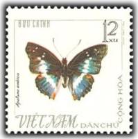 (1965-065) Марка Вьетнам "Фиолетовый император"   Бабочки III Θ
