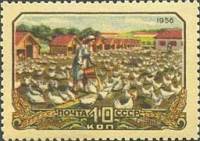1956-086 Марка СССР На птицеферме   Сельское хозяйство в СССР III Θ