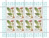 1985-064  Лист (8 м 2х4) СССР Левзея сафлоровидная  Лекарственные растения Сибири III O