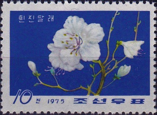 (1975-072) Марка Северная Корея &quot;Белая азалия&quot;   Цветы III Θ