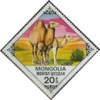 (1978-060) Марка Монголия "Самка с верблюжонком"    Верблюды III Θ