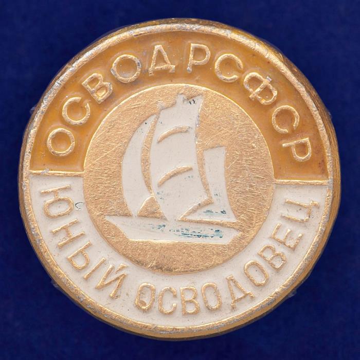 27487\121623 Значок Юный ОСВОДовец РСФСР