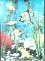 Стерео-открытка Рыбы  , Япония   с. 