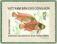 (1976-035) Марка Вьетнам "Меланотения"   Тропические рыбы III Θ